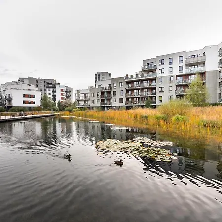 Navy Blue By Bookinghost Varsó