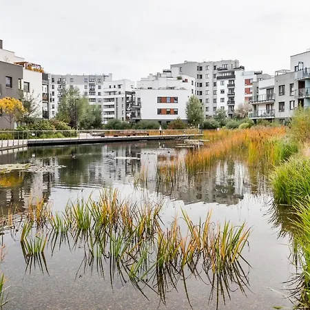 Navy Blue By Bookinghost